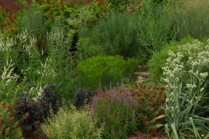 Cooperative Extension's Pollinator Paradise Garden