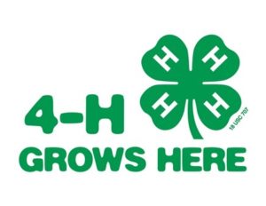 Cover photo for Edenton Eagles 4-H Club Update