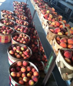 harvested peaches in baskets