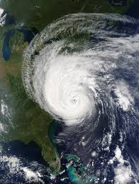 Cover photo for Landscape Hurricane Preparedness