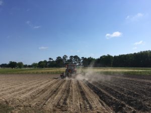 Cover photo for Early Planted Soybean Webinar RECORDING