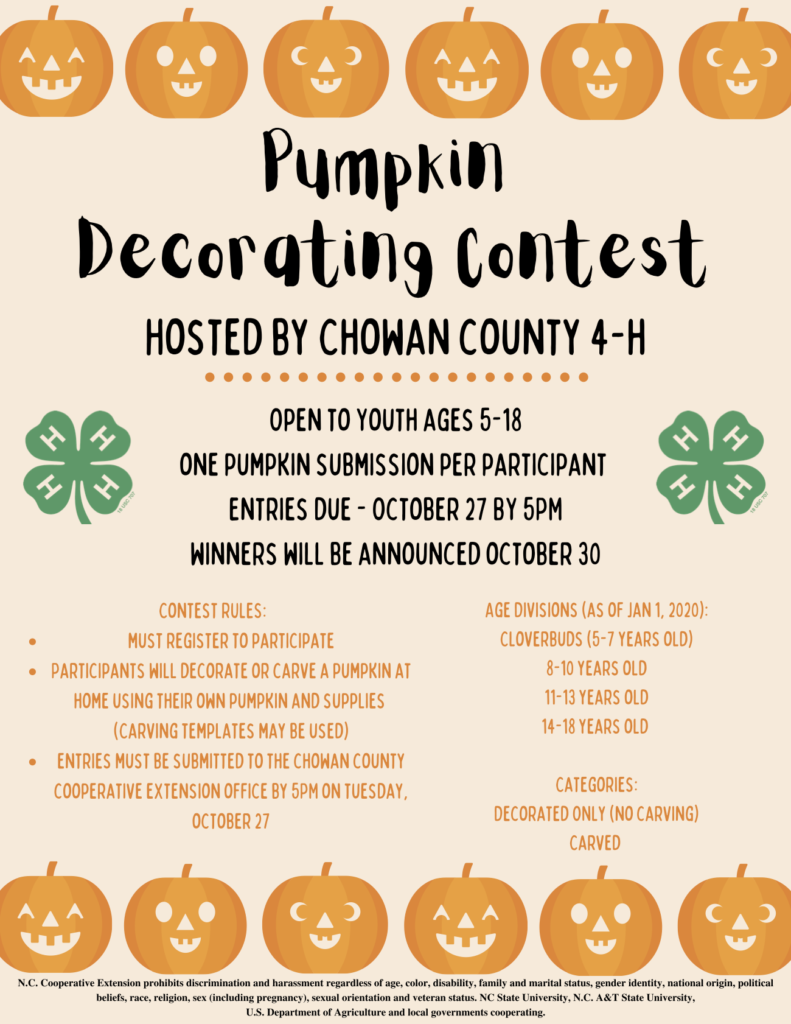 Ultimate Guide to Pumpkin Decorating Contest Categories