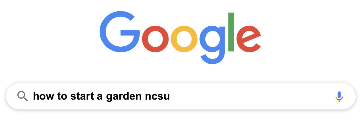 google search