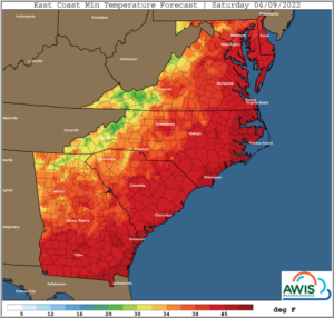 Cover photo for AWIS Weather Forecast: FROST Ahead in NC