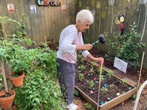 A woman uses a mallet to pound a tall wooden rod into the corner of a plant bed.