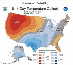 Cover photo for Cotton Planting Conditions May 8, 2023