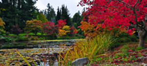 VanDusen Garden