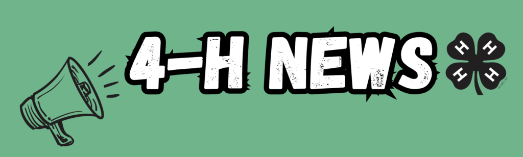 4-H news