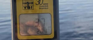 Photo of salt meter reading in the Perquimans River