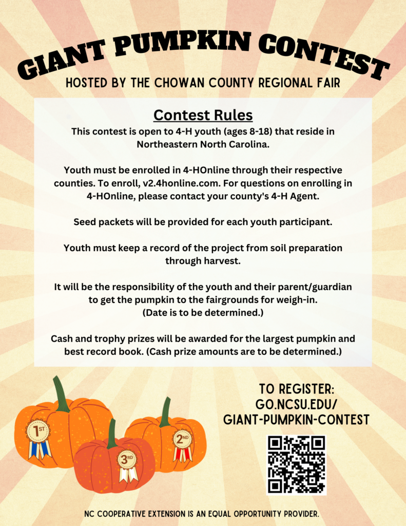 pumpkin contest