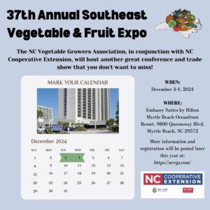 Save the Date Veg Expo 24 Flyer