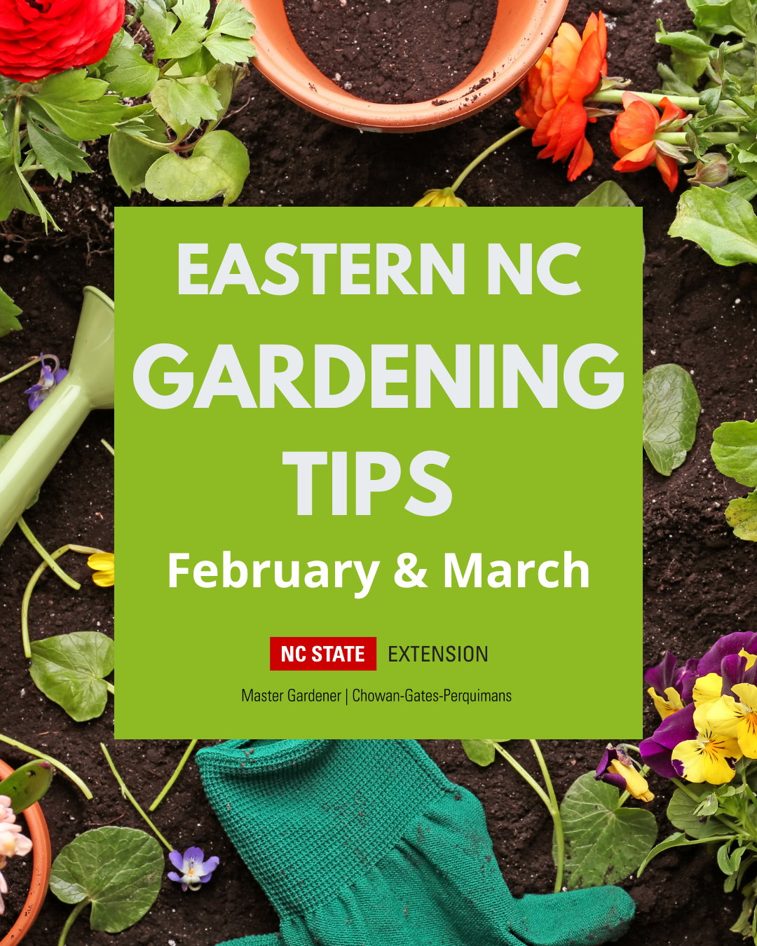 Eastern NC Gardening Tips