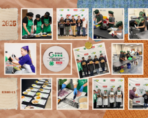 Dinah Gore 4-H Healthy Food Challenge Regional Collage