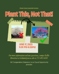 Cover photo for Plant This, Not That! Landscape Plant Selection Class