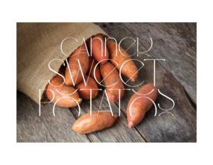 Cover photo for Canning Sweet Potatoes